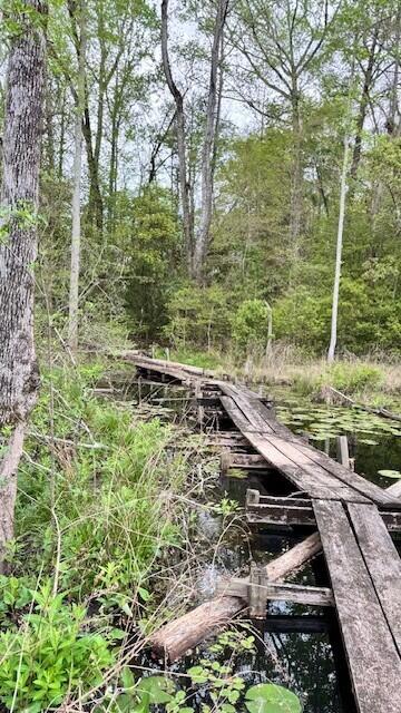 263 Keegan Court North, SC 29112 - Photo 20 of 21 4