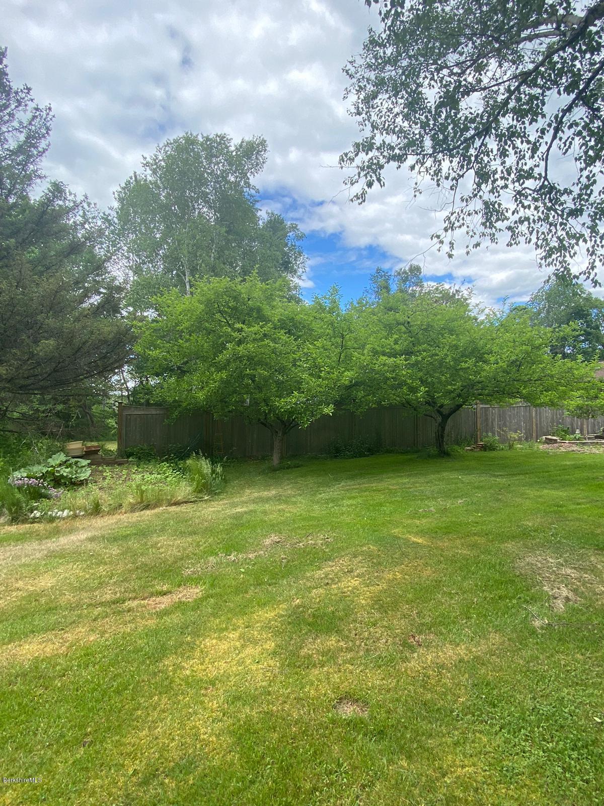 284 Dalton Division Road Pittsfield, MA 01201 - Photo 38 of 39 Backyard