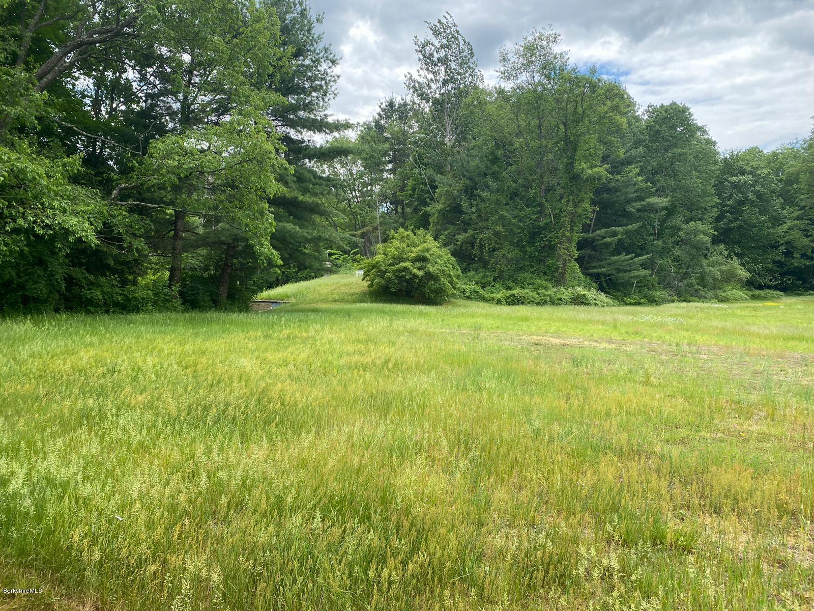 284 Dalton Division Road Pittsfield, MA 01201 - Photo 39 of 39 Backyard