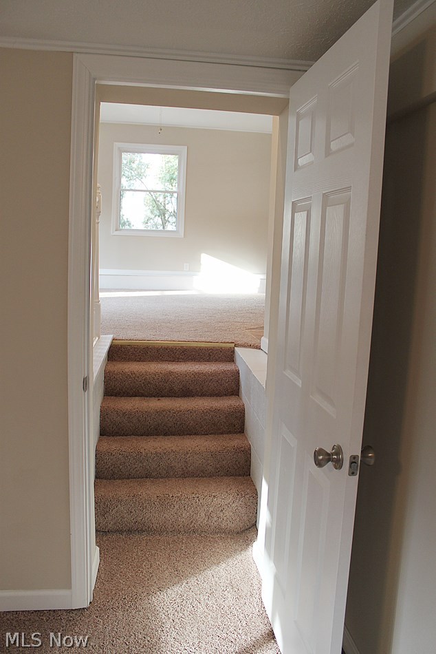 8844 Edgehill Road Mentor, OH 44060 - Photo 16 of 19 Gallery Image 16