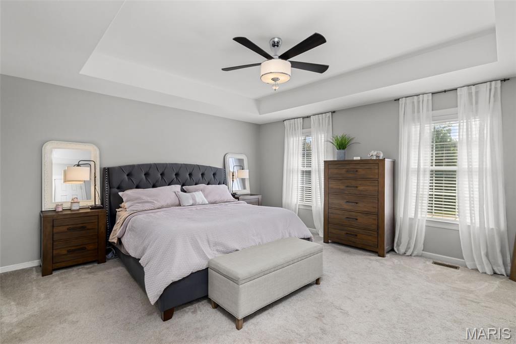 17212 Bluffview Ridge Place Chesterfield, MO 63005 - Photo 34 of 81