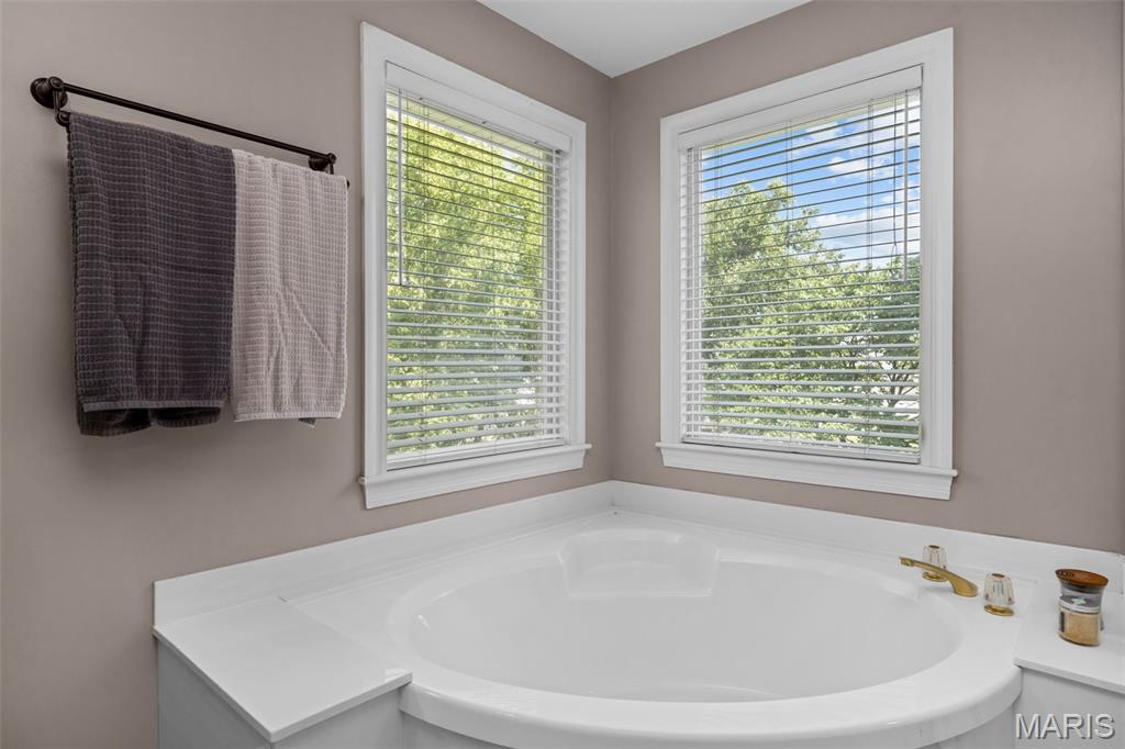 17212 Bluffview Ridge Place Chesterfield, MO 63005 - Photo 40 of 81