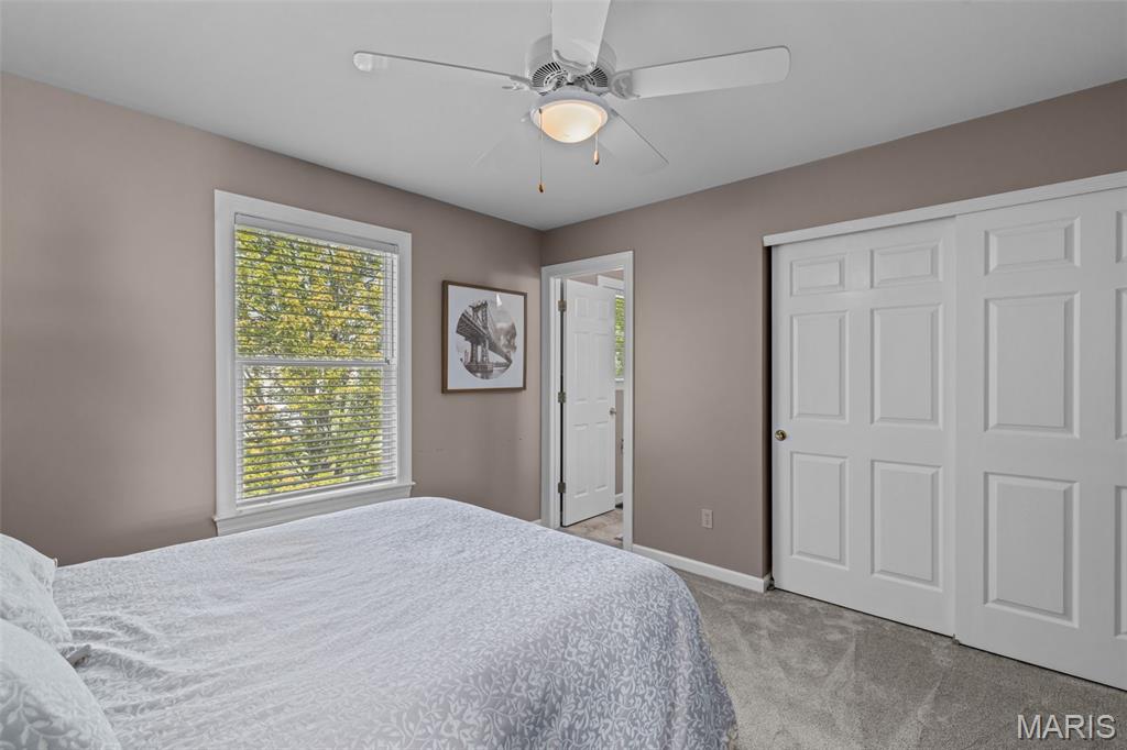 17212 Bluffview Ridge Place Chesterfield, MO 63005 - Photo 42 of 81