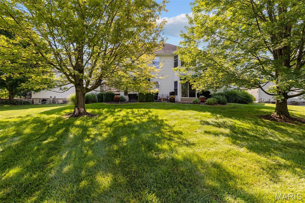 17212 Bluffview Ridge Place Chesterfield, MO 63005 - Photo 64 of 81