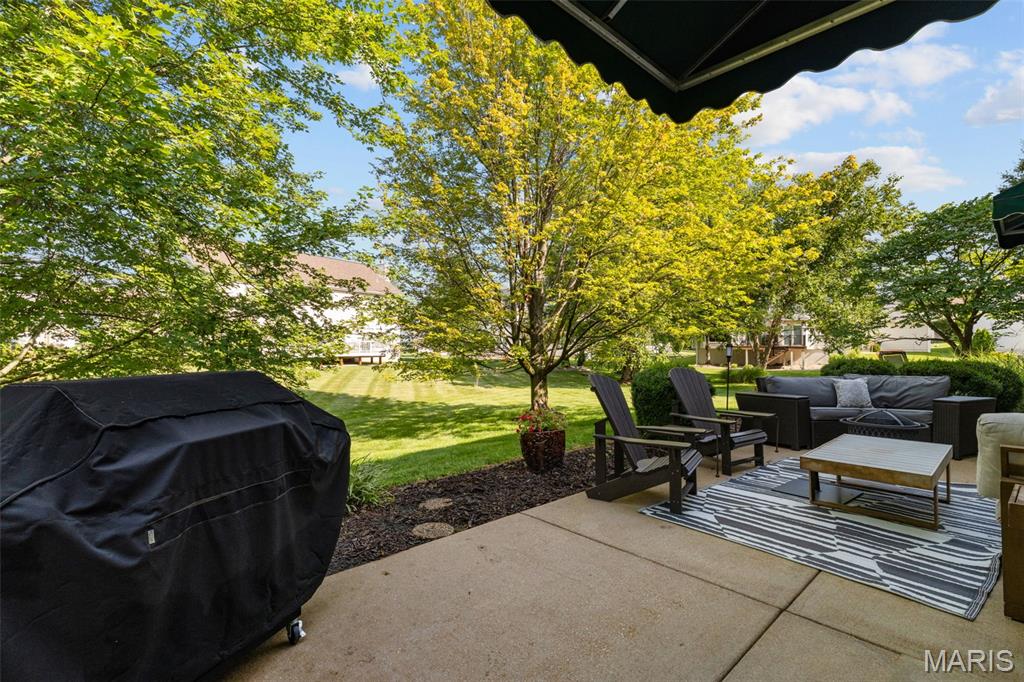 17212 Bluffview Ridge Place Chesterfield, MO 63005 - Photo 72 of 81