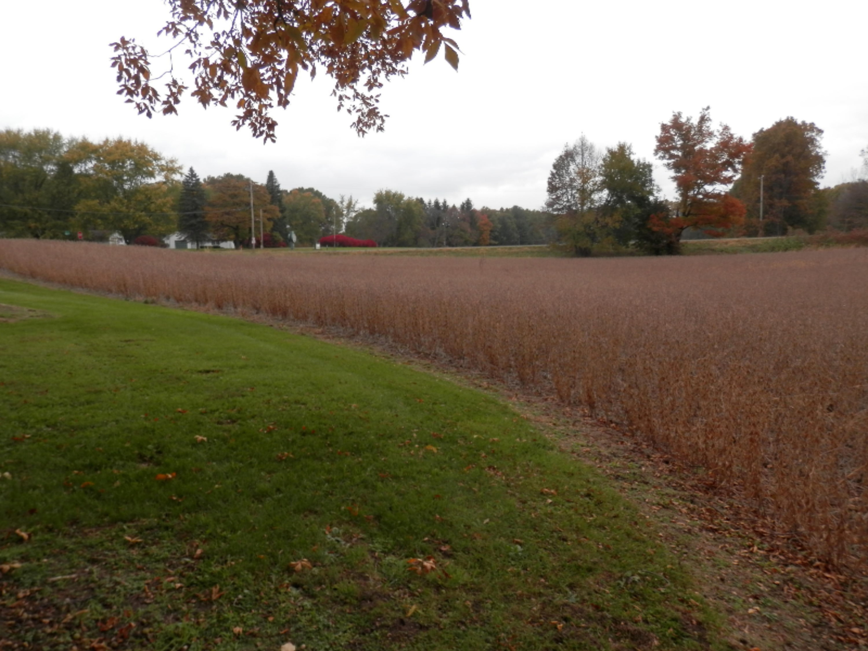 68707 Carls Road Sturgis, MI 49091 - Photo 8 of 25 PA270179