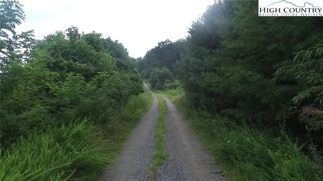 a view of a pathway both side of green field