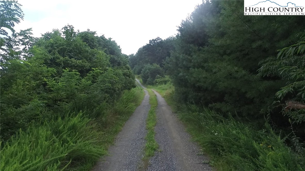 267 Messenger Drive Sparta, NC 28675 - Photo 2 of 2 a view of a pathway both side of green field