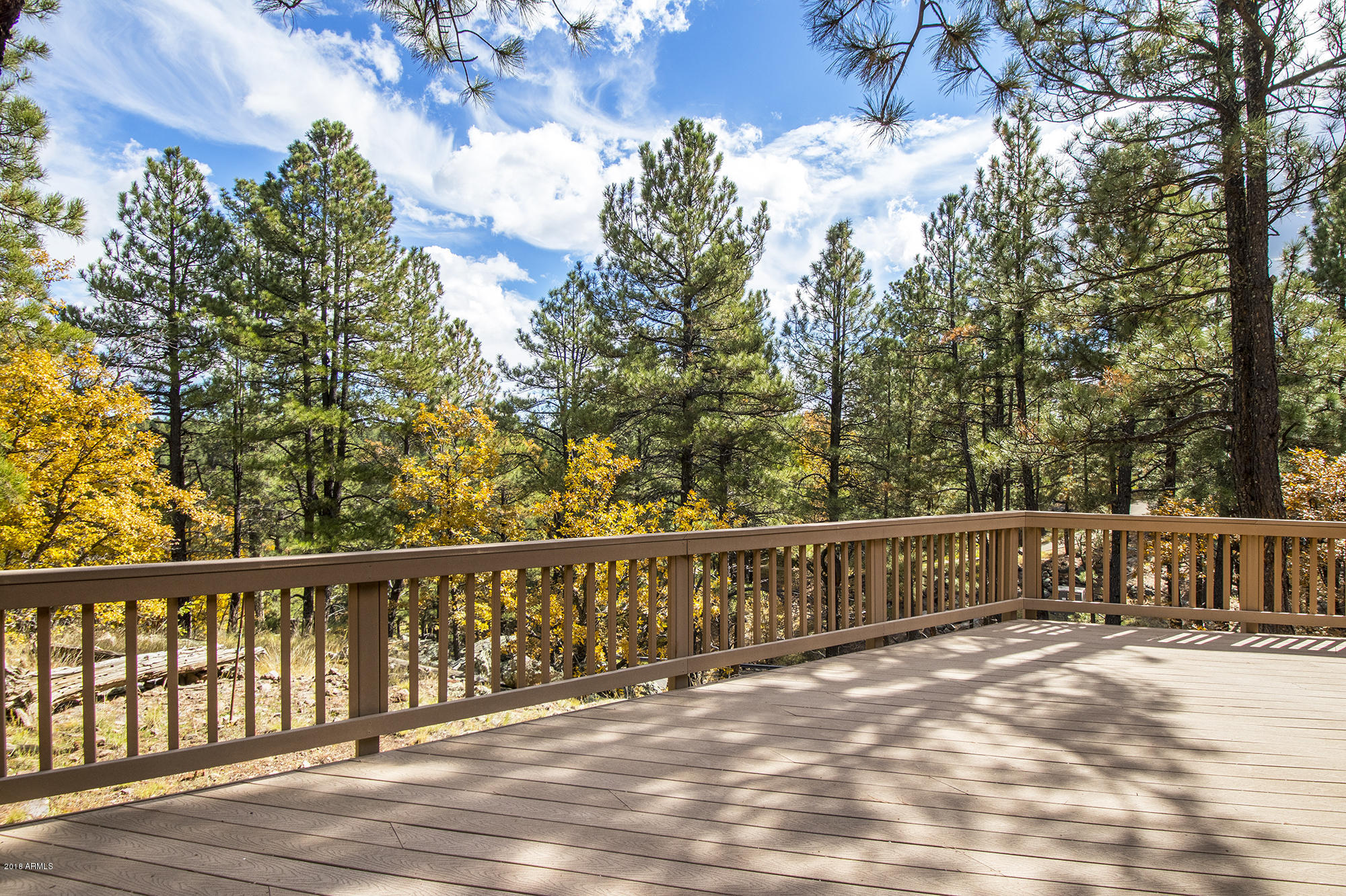 3717 Griffiths Spring Flagstaff, AZ 86005 - Photo 30 of 30 30_Back Deck1