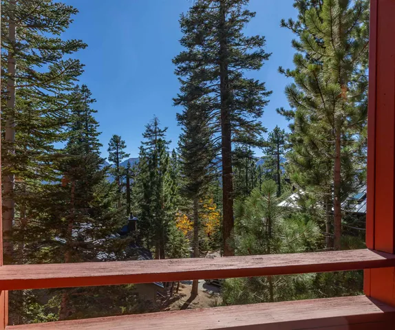a view of a lake with a tree