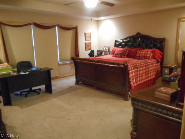 45311 Webster Road Wellington, OH 44090 - Photo 13 of 33 Gallery Image 13