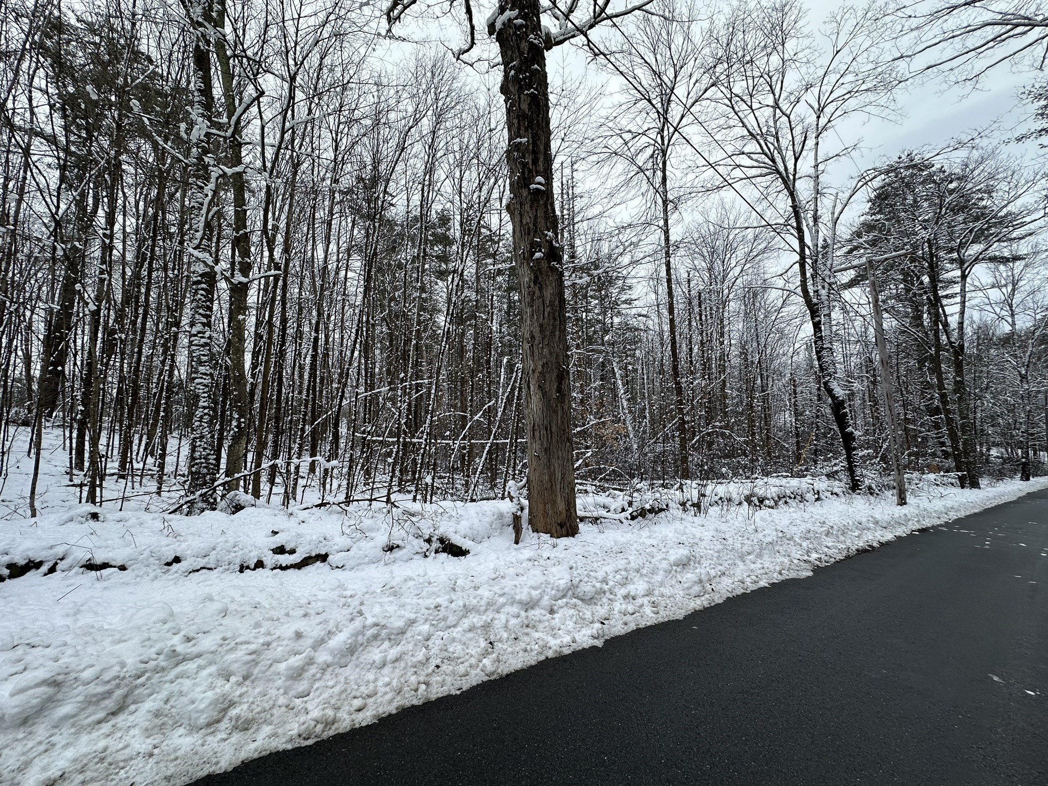 Lot 5 Brown Road Royalston, MA 01368 - Photo 5 of 11 Gallery Image 5