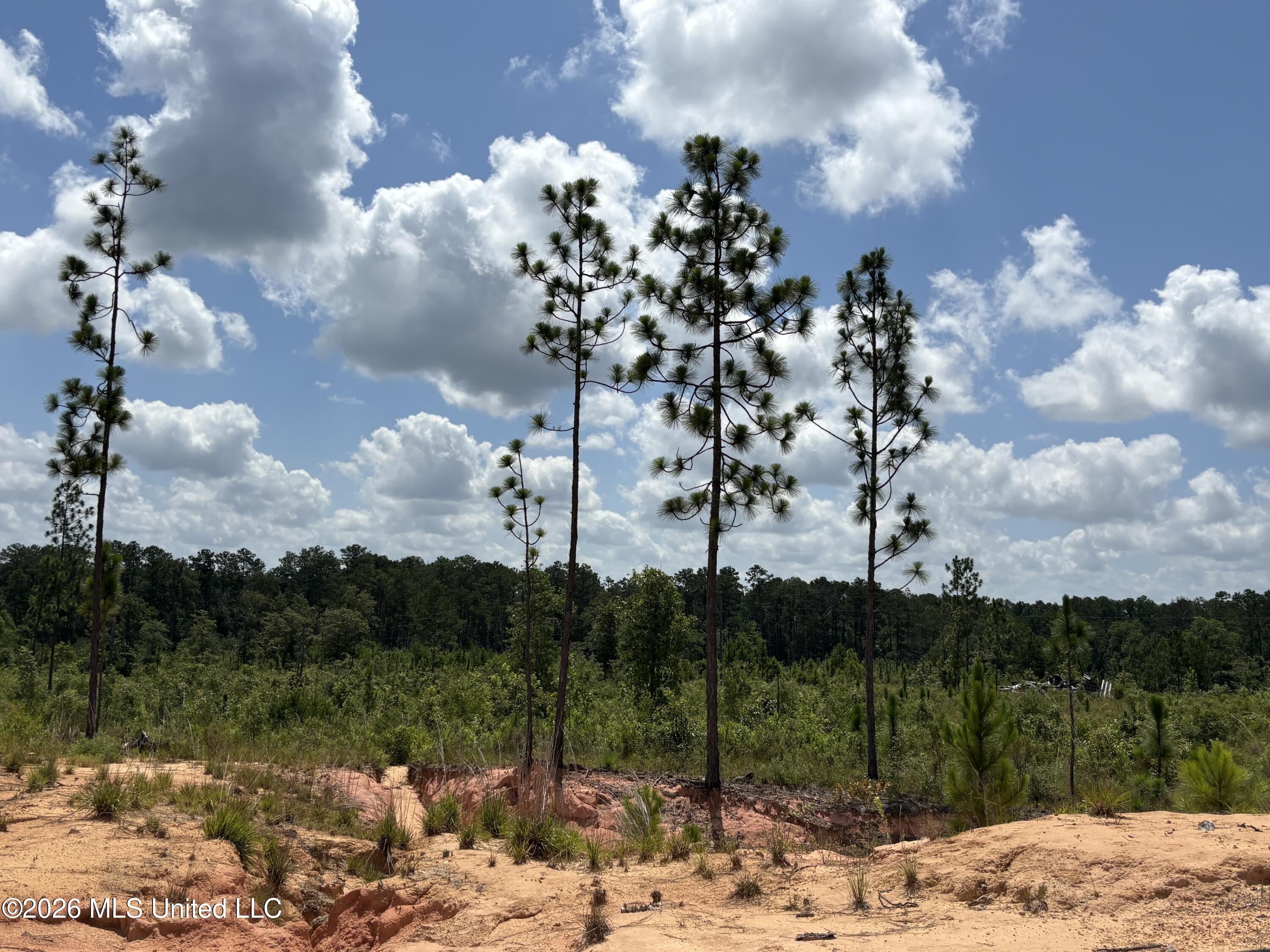 196 South County Line Road Lumberton, MS 39455 - Photo 10 of 18 IMG_3002