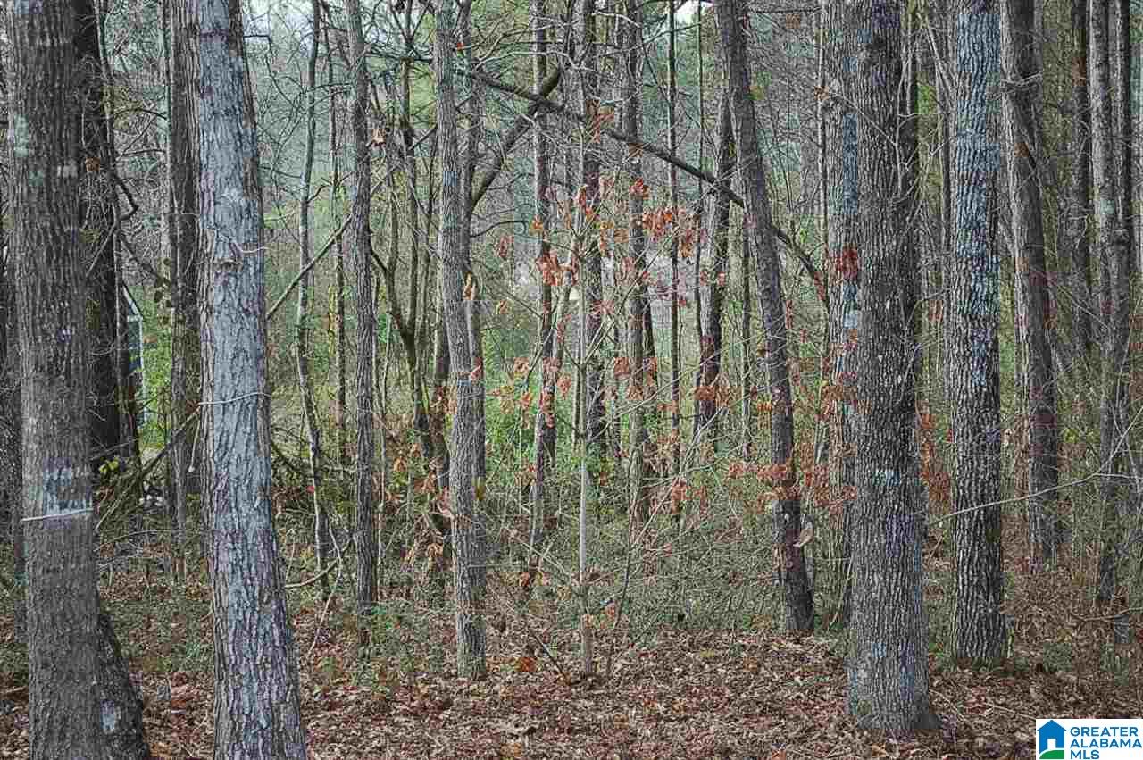 205 Sanders Road Hayden, AL 35079 - Photo 21 of 21