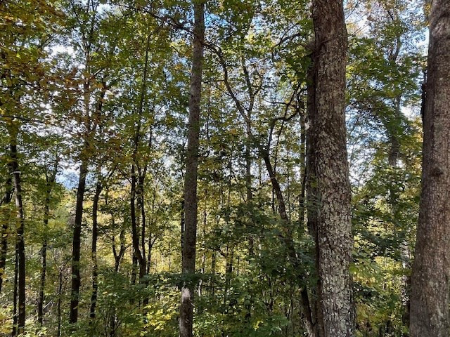 Lot 73 Hidden Treasure Murphy, NC 28906 - Photo 18 of 26