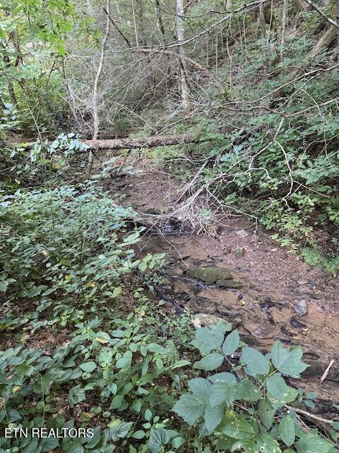 Lot 30 Catons Chapel Road Sevierville, TN 37876 - Photo 13 of 14 IMG_6260