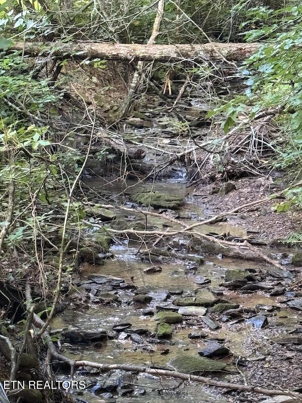 Lot 30 Catons Chapel Road Sevierville, TN 37876 - Photo 14 of 14 IMG_6263