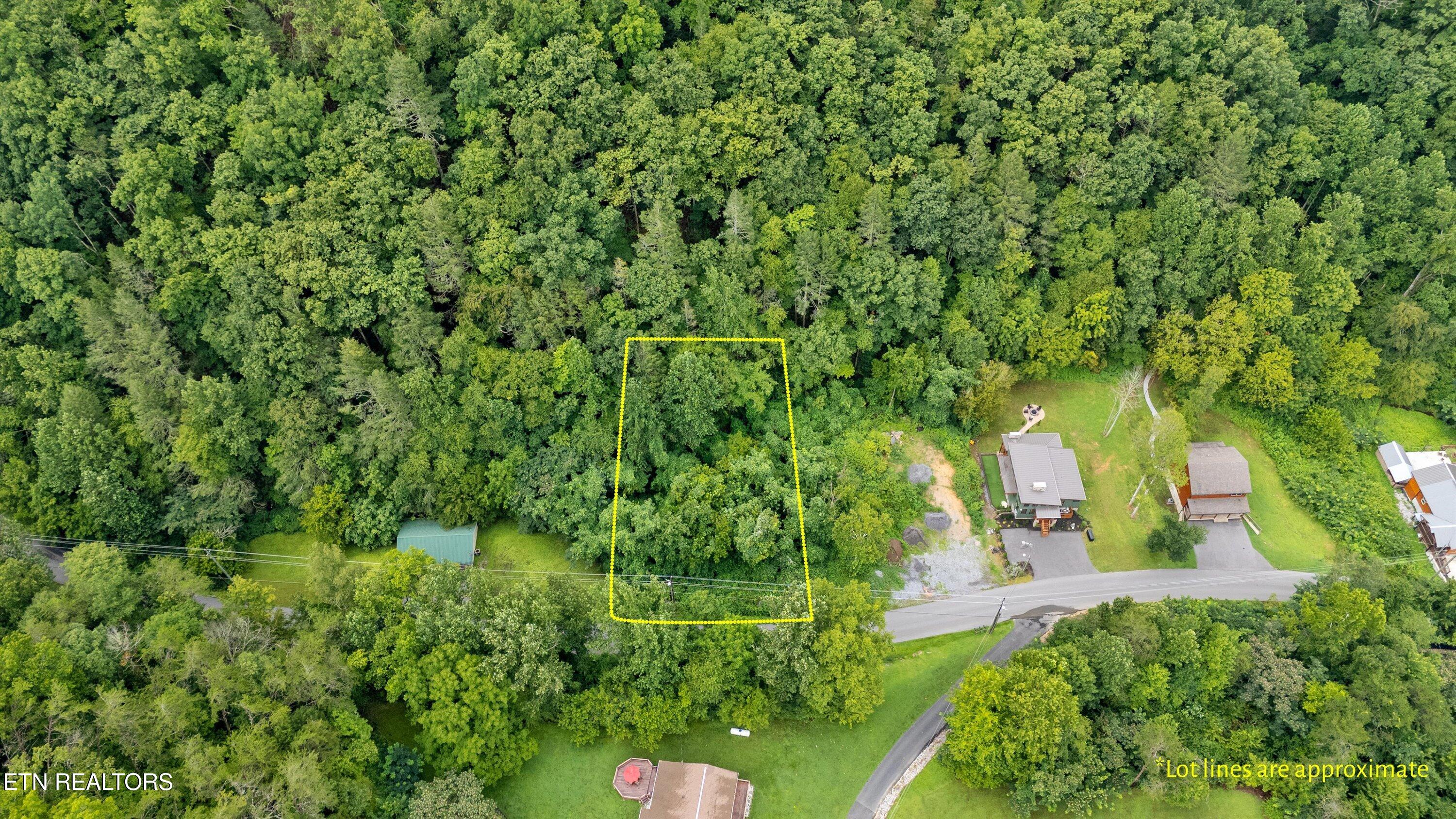 Lot 30 Catons Chapel Road Sevierville, TN 37876 - Photo 3 of 14 02-Lot 30 Catons Chapel Rd-01