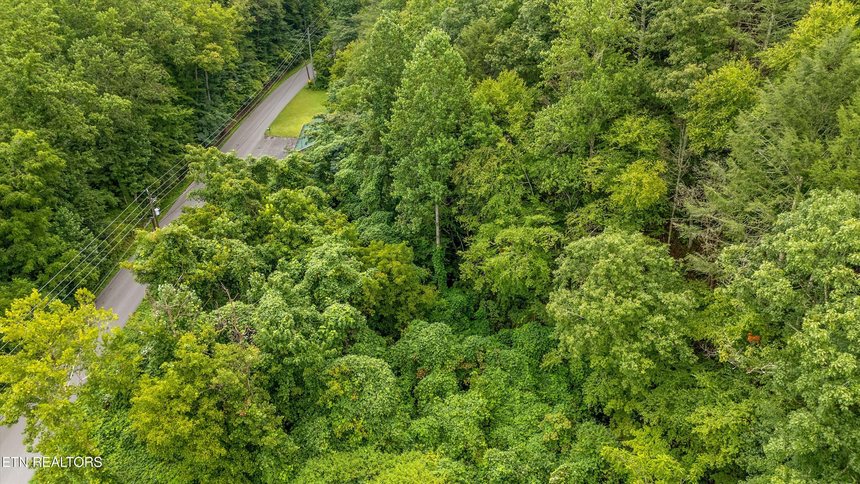 Lot 30 Catons Chapel Road Sevierville, TN 37876 - Photo 4 of 14 03-Lot 30 Catons Chapel Rd-05