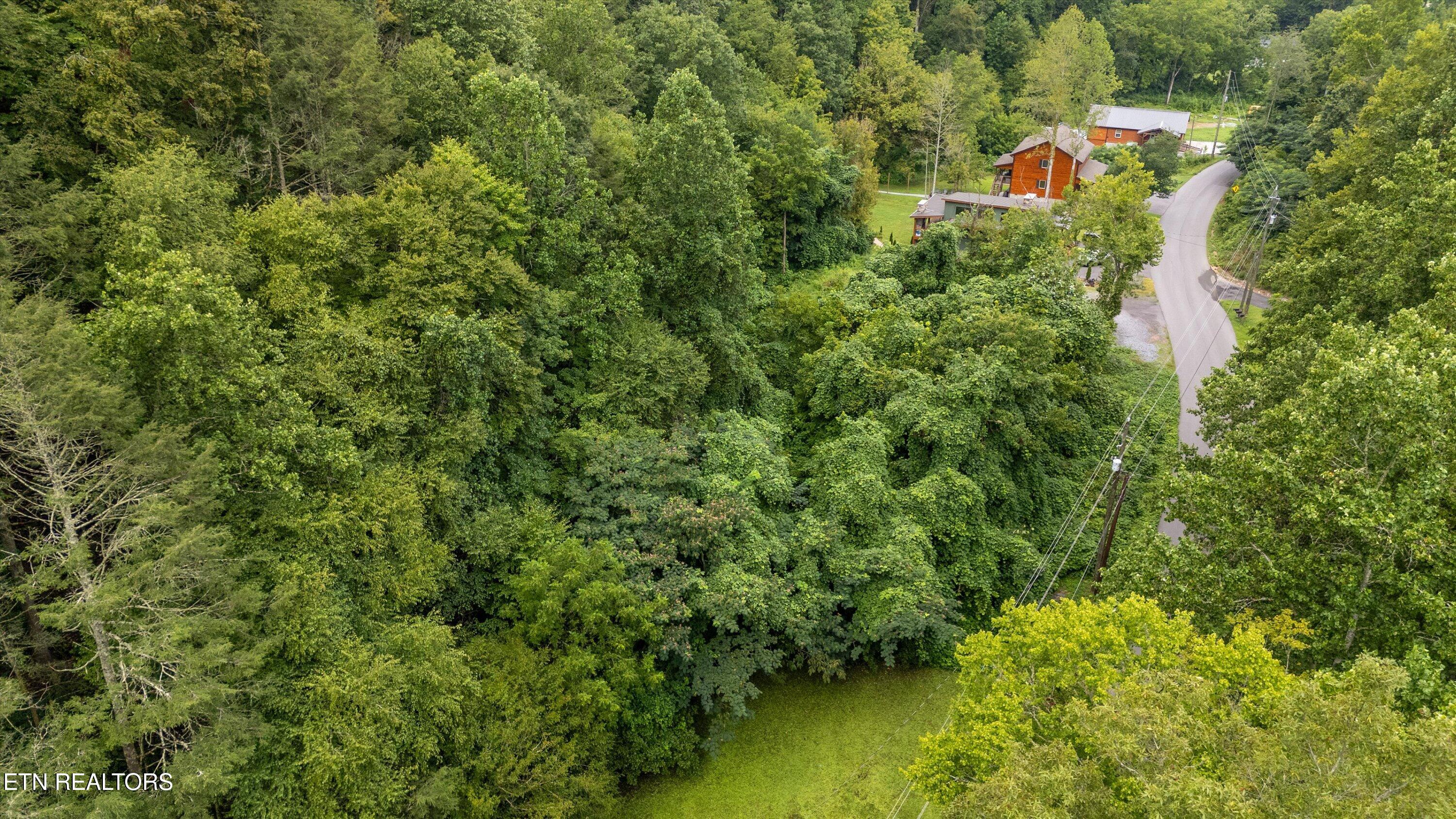 Lot 30 Catons Chapel Road Sevierville, TN 37876 - Photo 5 of 14 04-Lot 30 Catons Chapel Rd-06