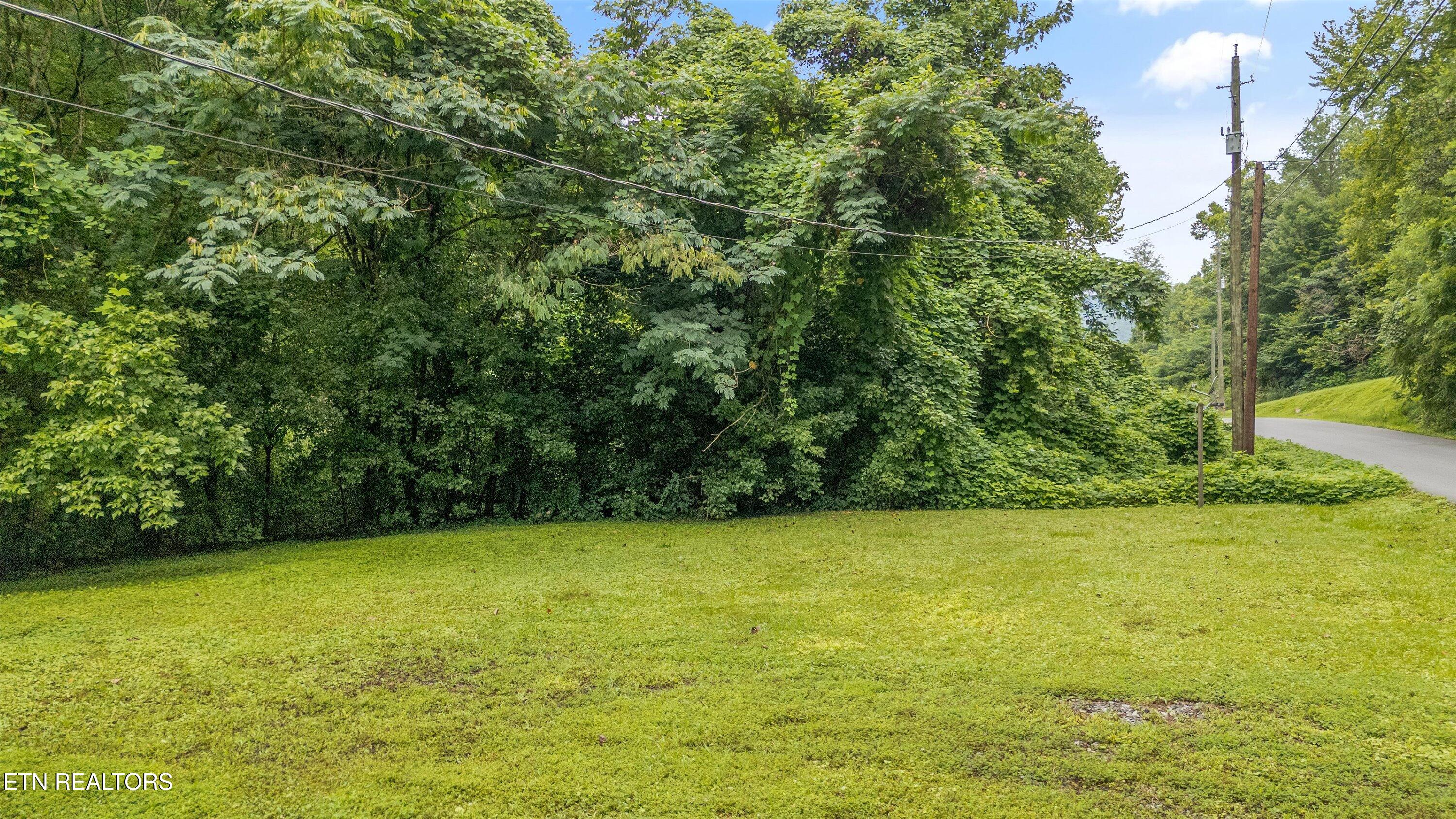 Lot 30 Catons Chapel Road Sevierville, TN 37876 - Photo 8 of 14 07-Lot 30 Catons Chapel Rd-07