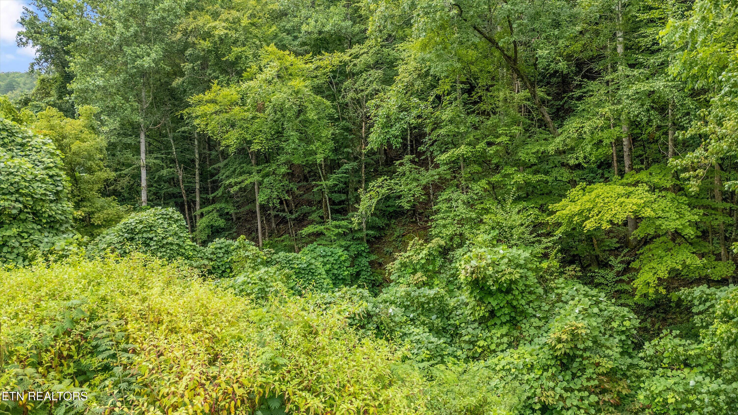 Lot 30 Catons Chapel Road Sevierville, TN 37876 - Photo 9 of 14 08-Lot 30 Catons Chapel Rd-09