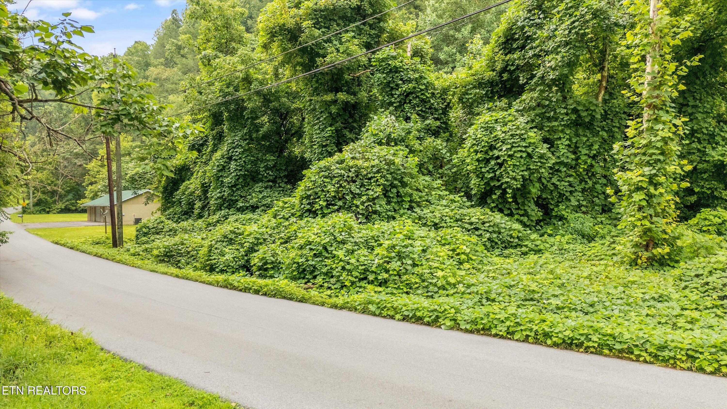 Lot 30 Catons Chapel Road Sevierville, TN 37876 - Photo 10 of 14 09-Lot 30 Catons Chapel Rd-10