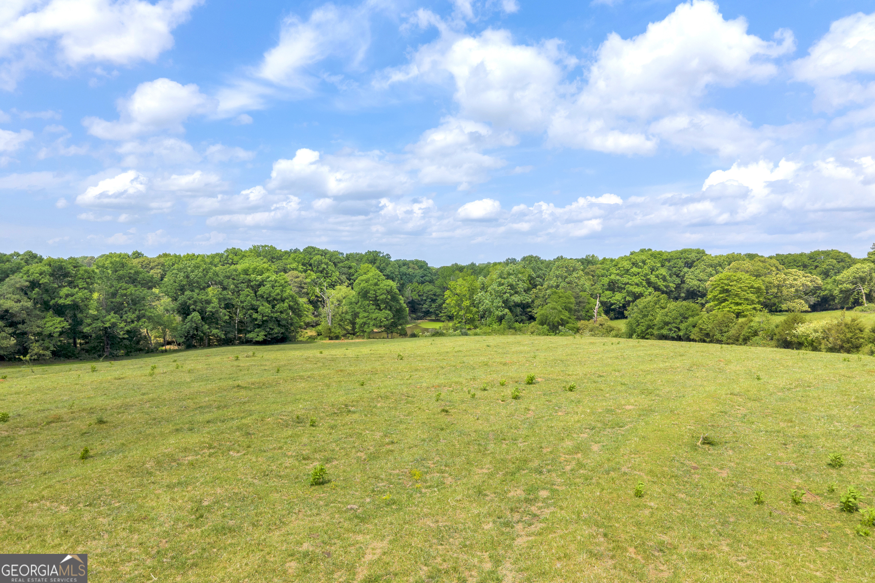 6490 Highway 145 Carnesville, GA 30521 - Photo 25 of 29