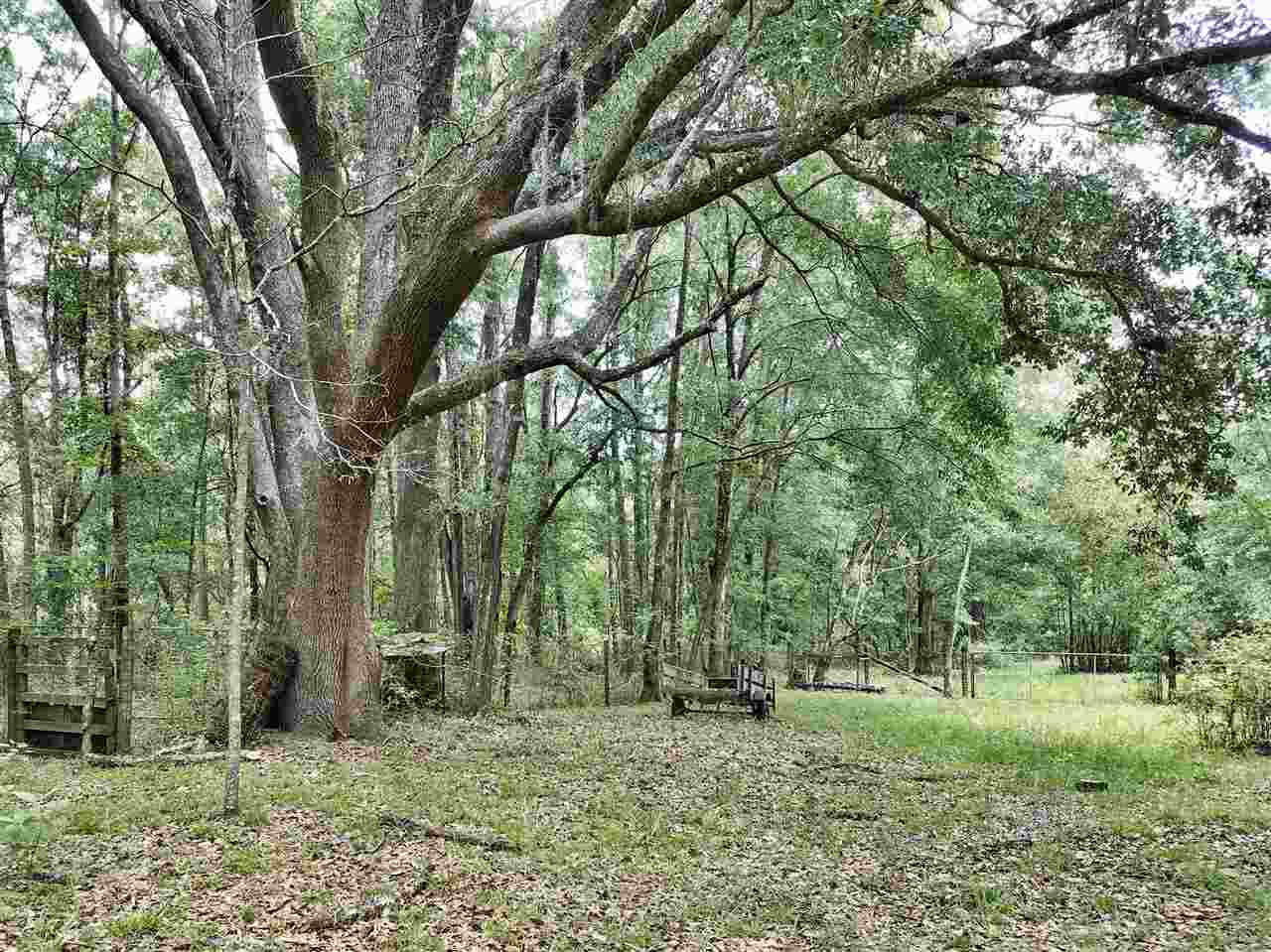 3995 West W Kelly Road Tallahassee, FL 32311 - Photo 21 of 33 Gallery Image 21