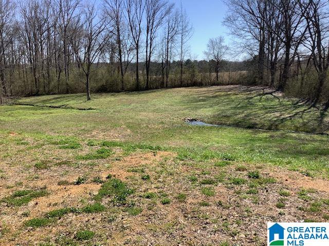 16058 Highway 11 Springville, AL 35146 - Photo 6 of 36