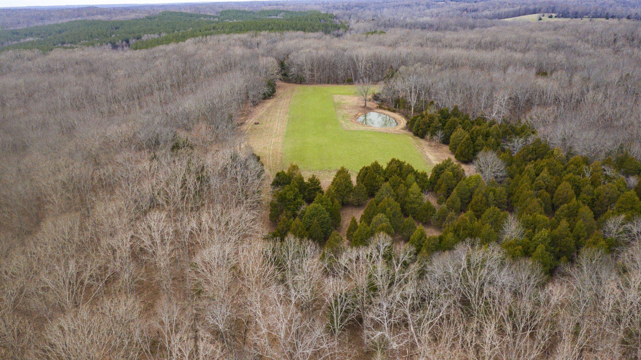 a view of a yard with a lake