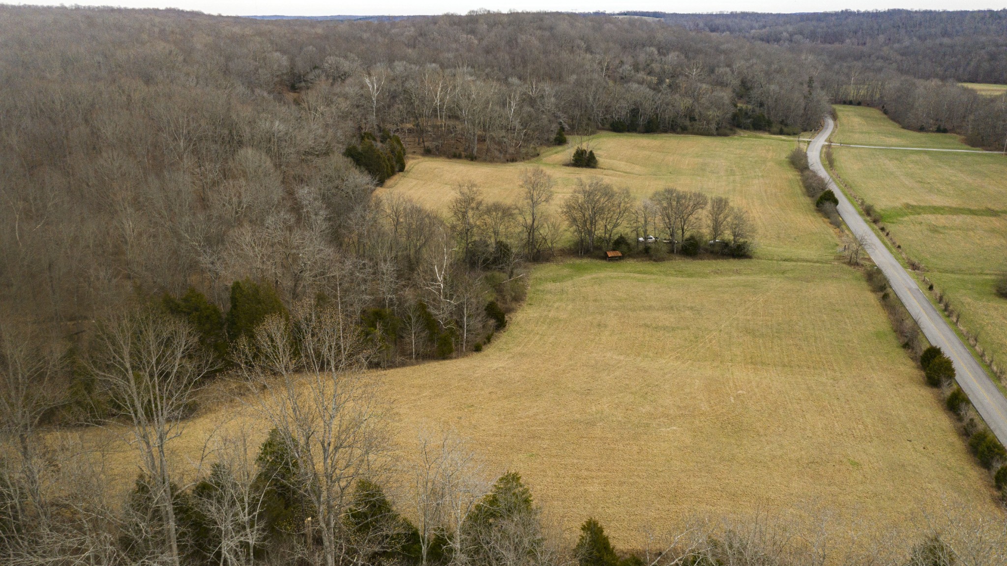 0 Bell Hollow Road Vanleer, TN 37181 - Photo 12 of 18 a view of a dry yard with trees