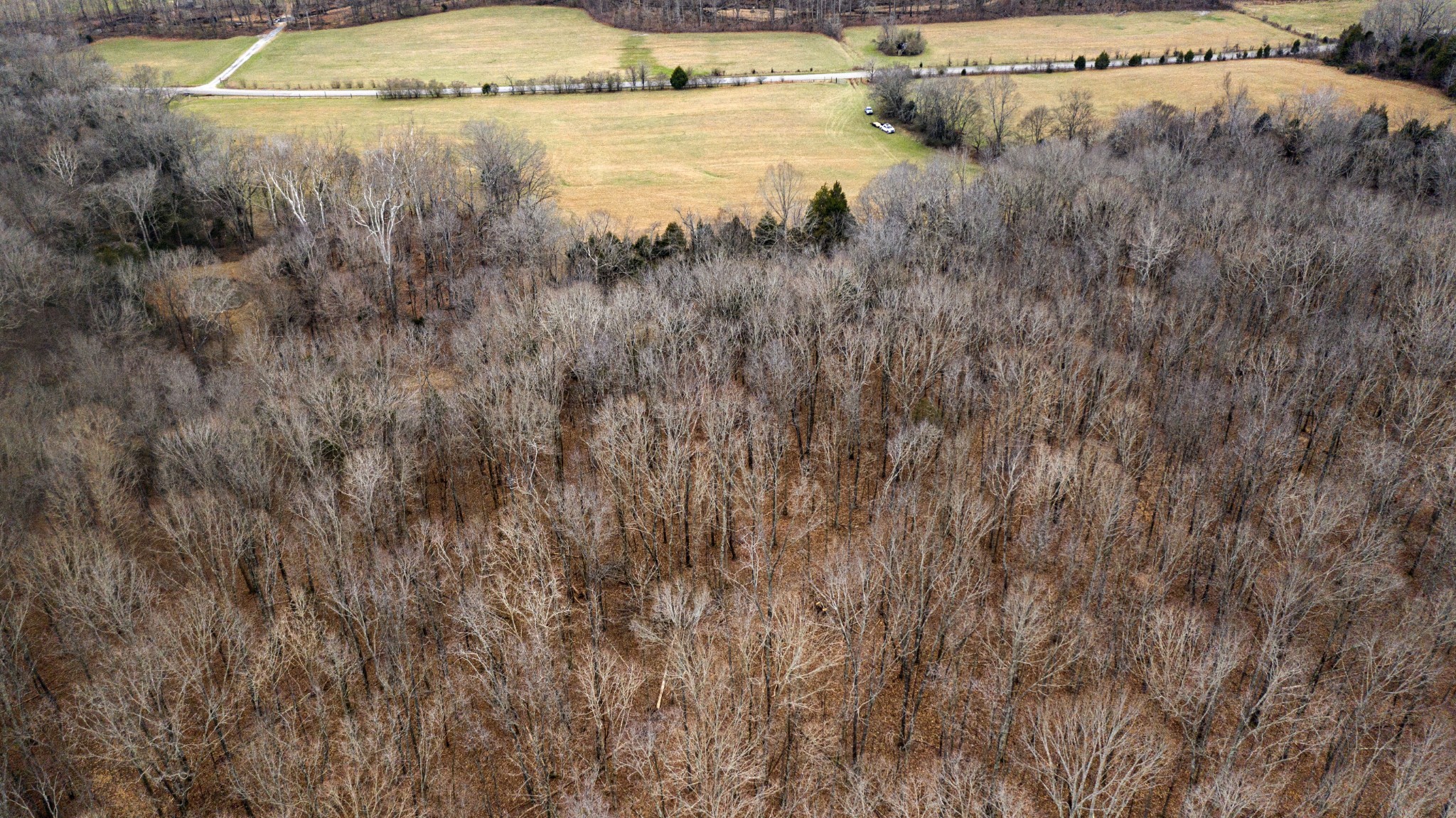 0 Bell Hollow Road Vanleer, TN 37181 - Photo 15 of 18