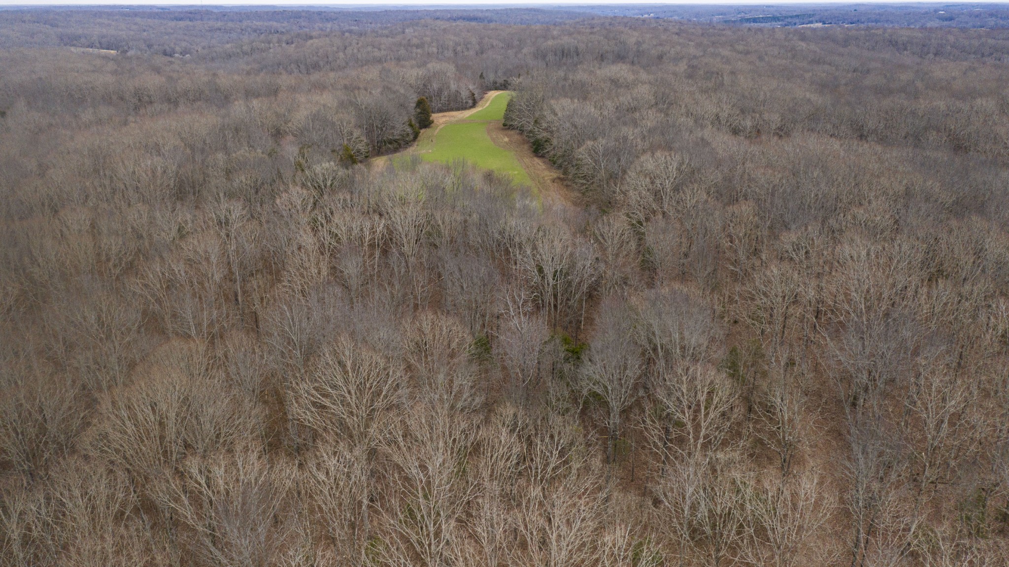 0 Bell Hollow Road Vanleer, TN 37181 - Photo 16 of 18 a view of a dry yard