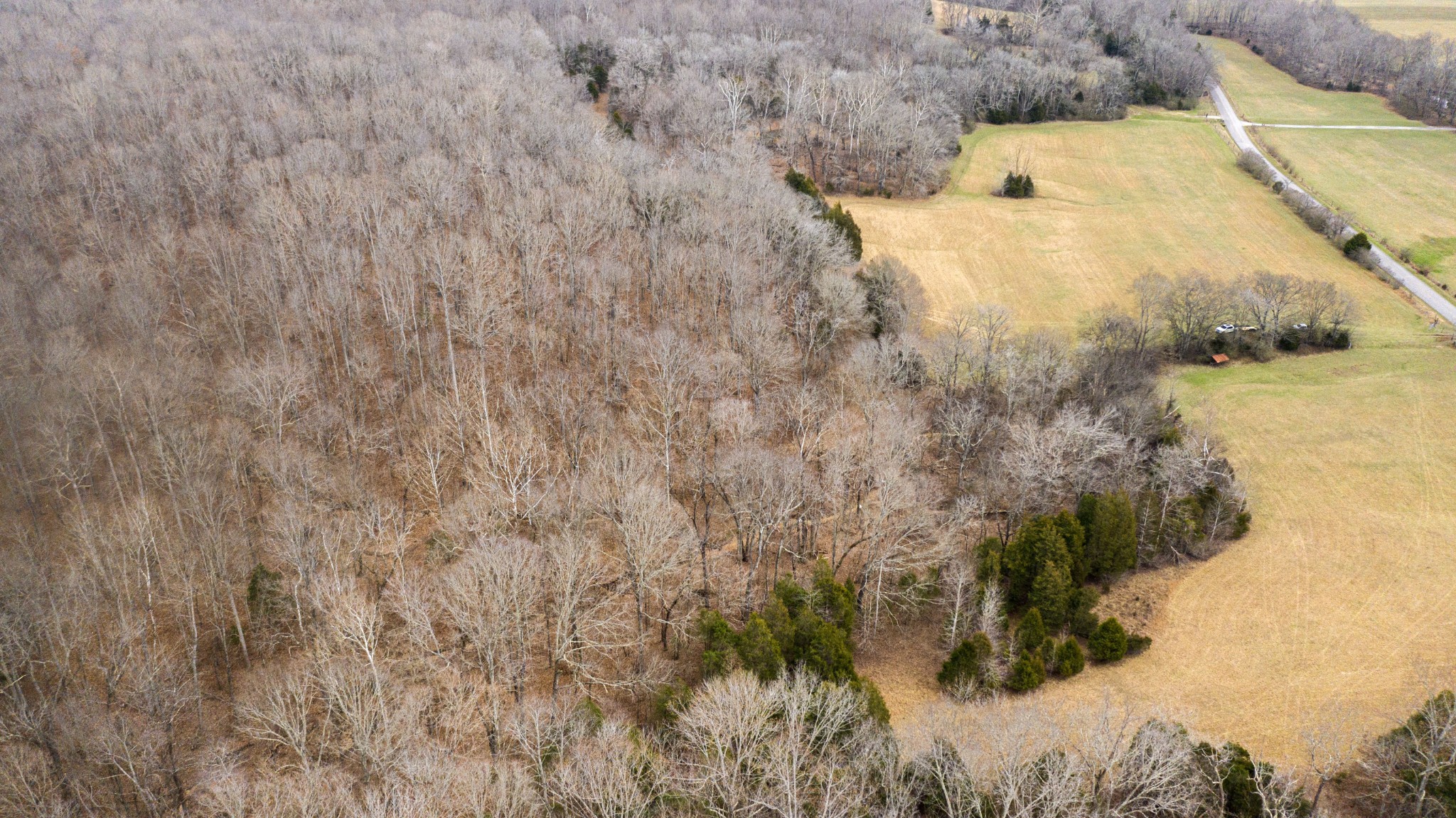 0 Bell Hollow Road Vanleer, TN 37181 - Photo 17 of 18 a view of a lake view