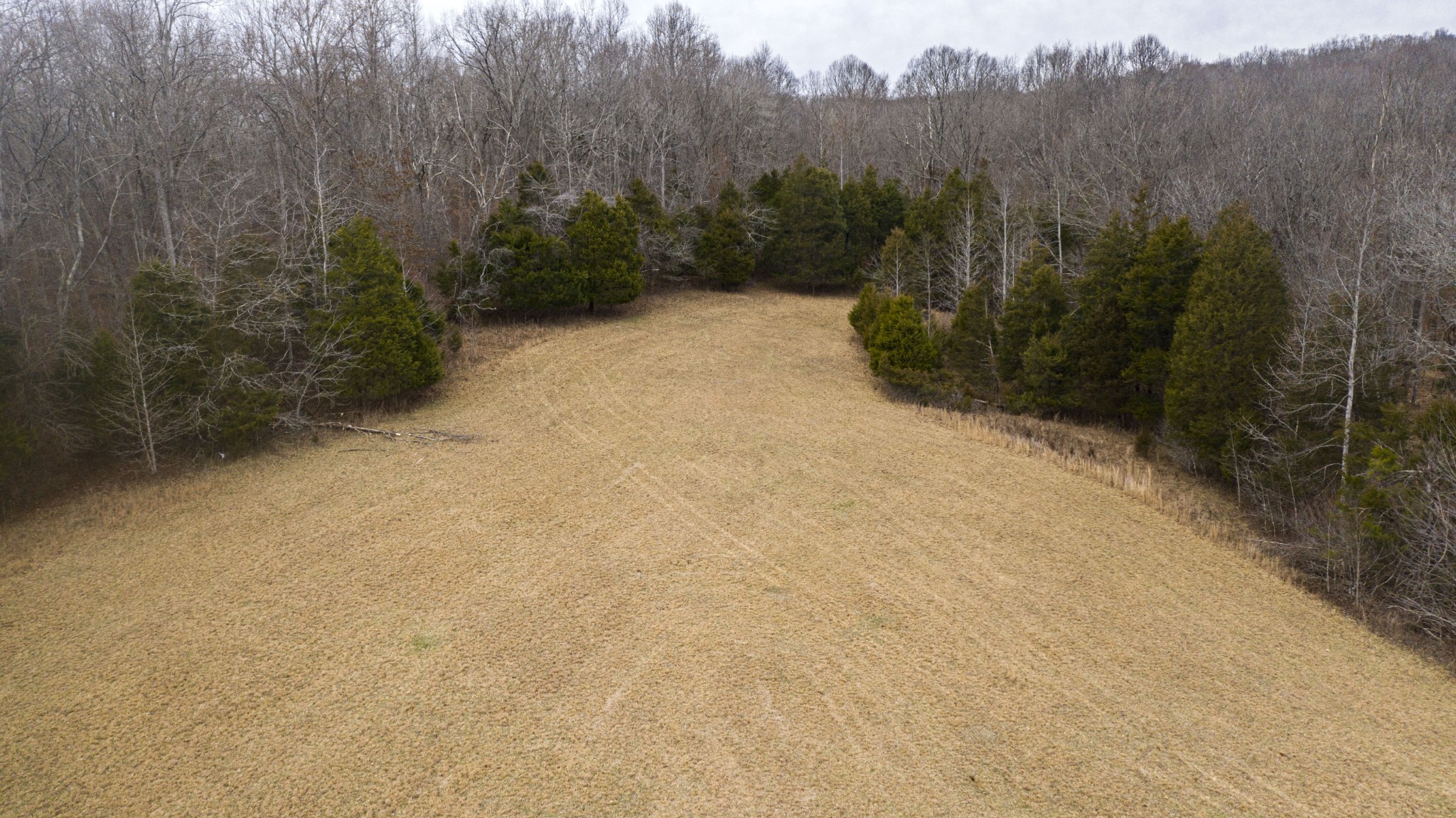 0 Bell Hollow Road Vanleer, TN 37181 - Photo 18 of 18 a view of a dry yard with trees