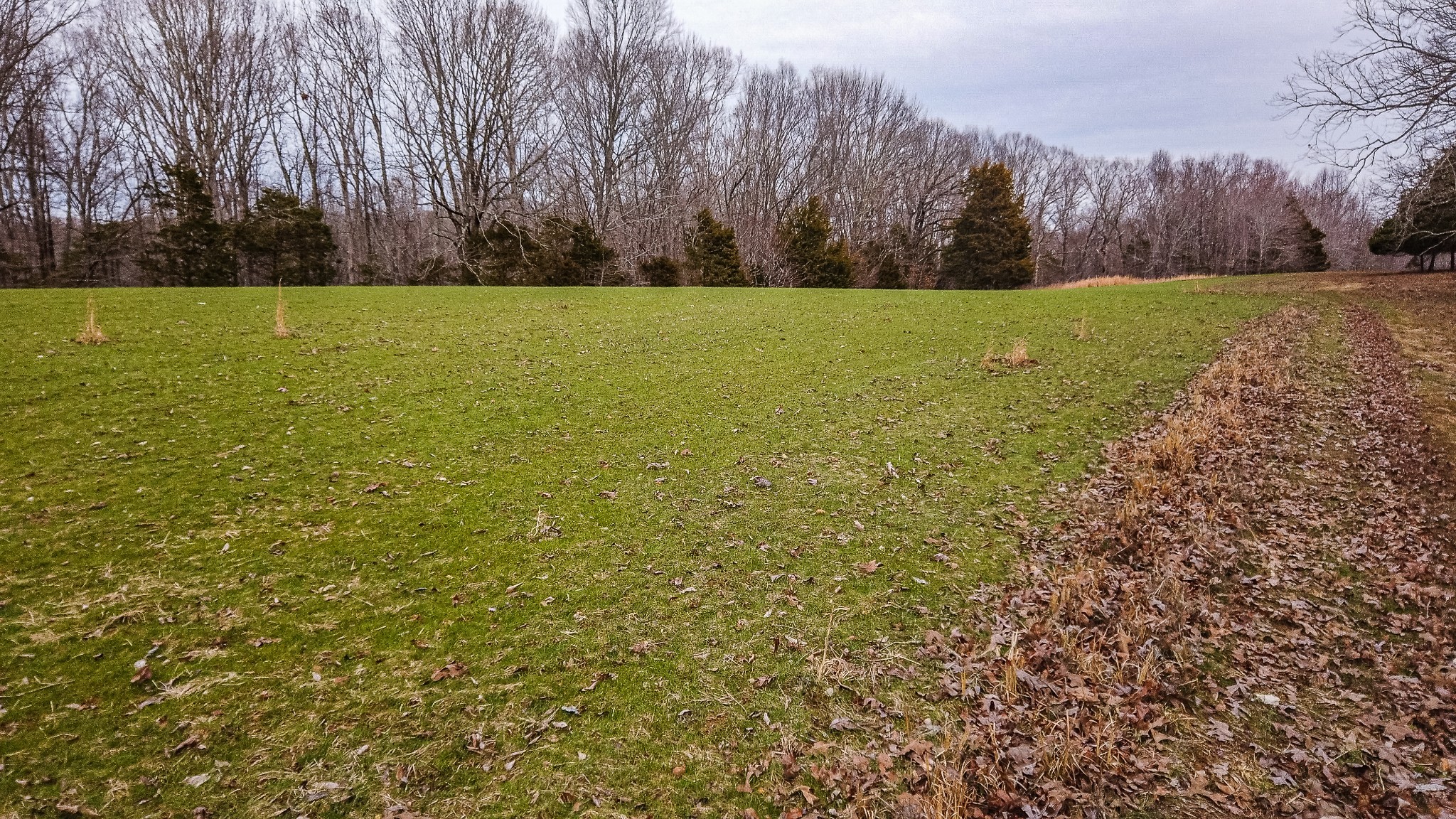 0 Bell Hollow Road Vanleer, TN 37181 - Photo 7 of 18 a view of outdoor space and yard