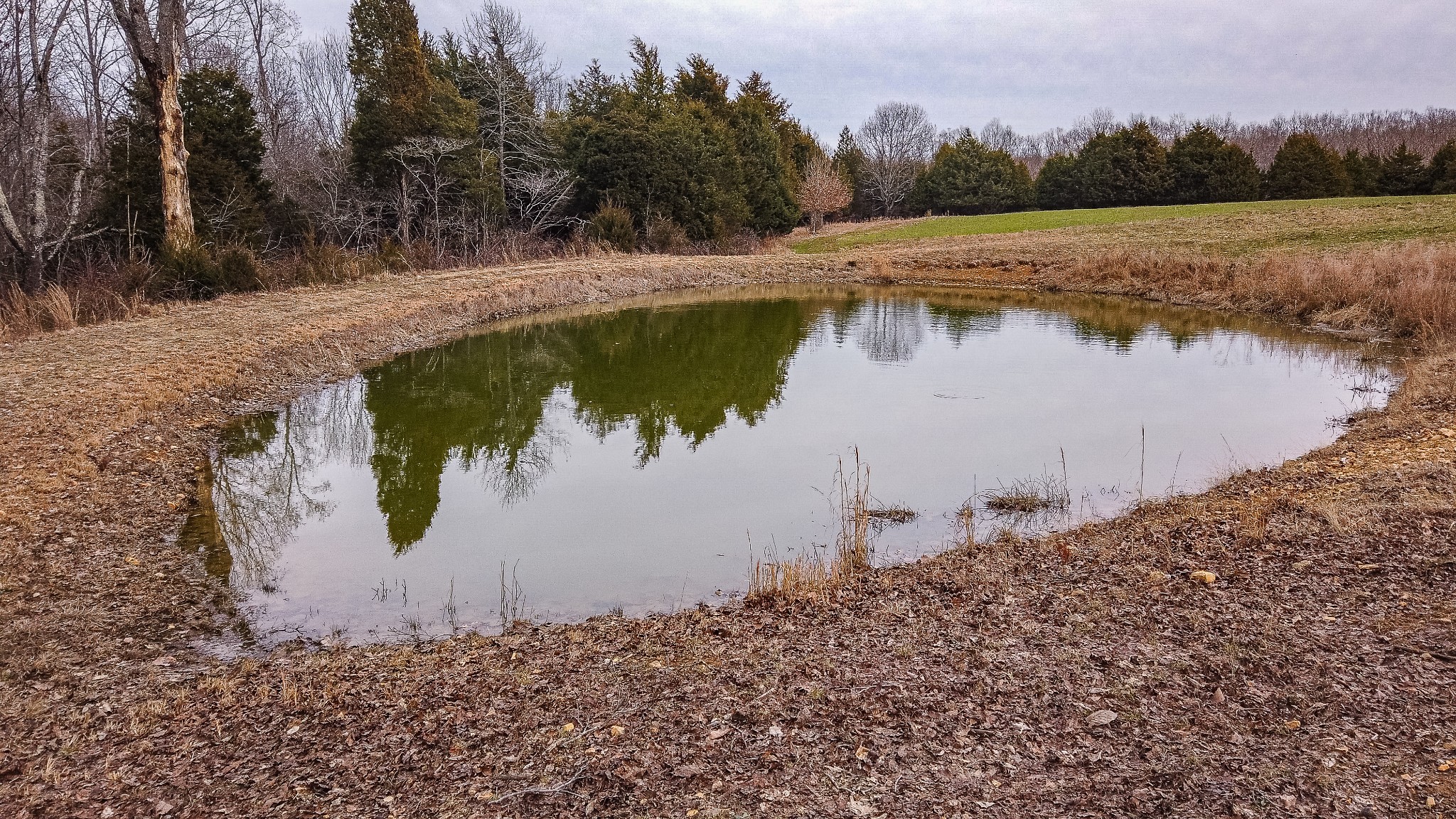 0 Bell Hollow Road Vanleer, TN 37181 - Photo 9 of 18 a view of a lake with a mountain in the background