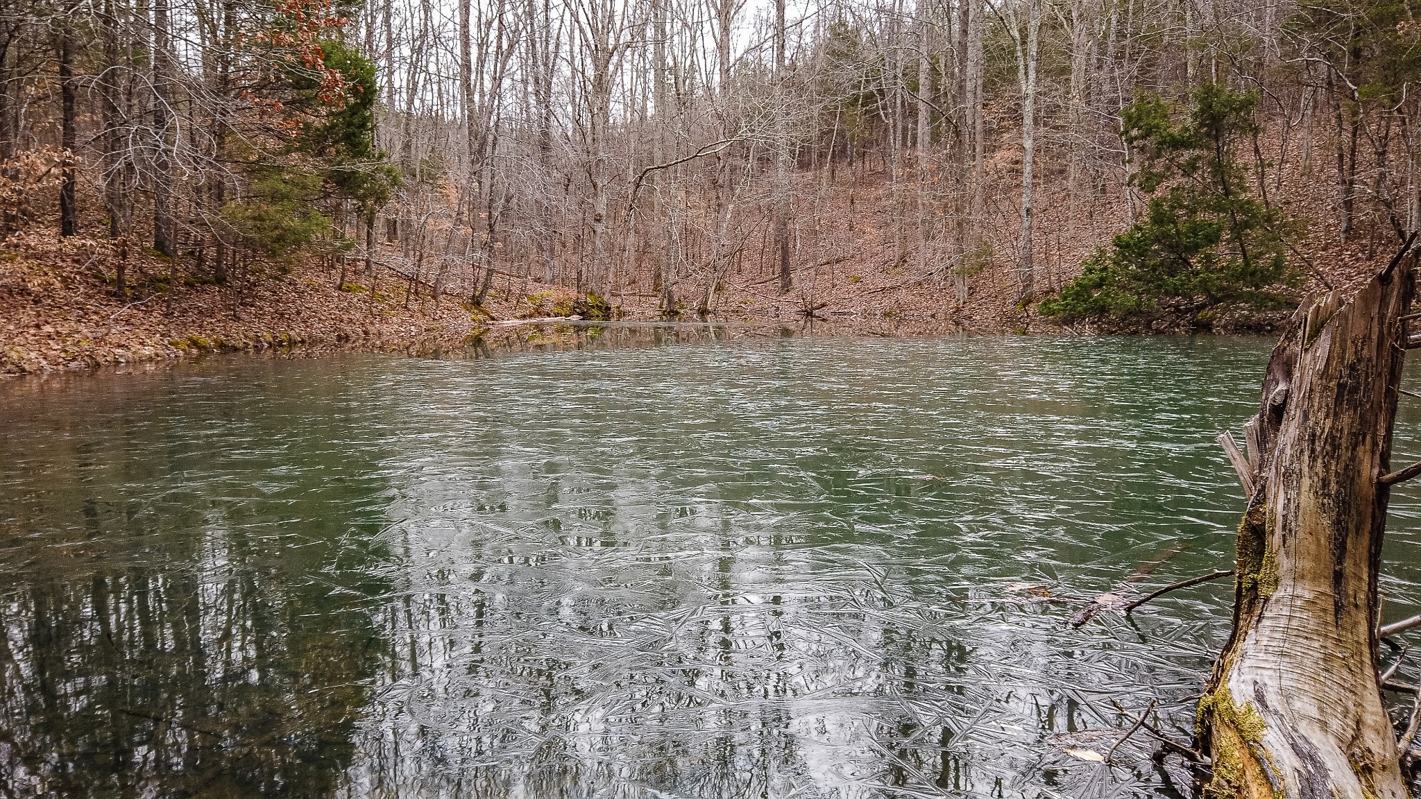 0 Bell Hollow Road Vanleer, TN 37181 - Photo 10 of 18 a view of water with large trees