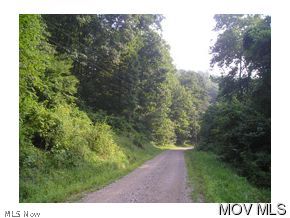 0 Rt 124 & T Road Long Bottom, OH 45743 - Photo 3 of 4