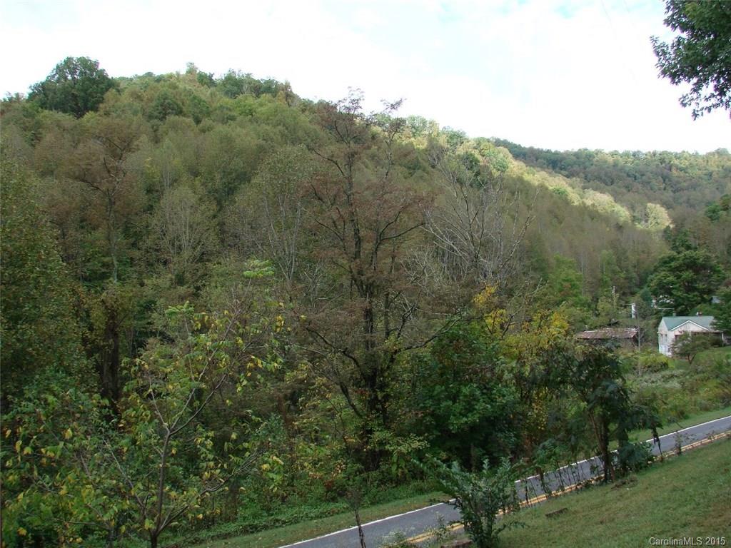 632 Banjo Branch Road Mars Hill, NC 28754 - Photo 23 of 24 Gallery Image 23