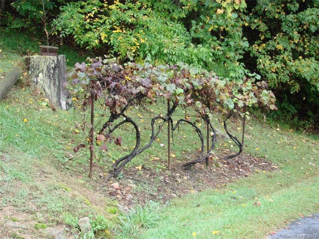 632 Banjo Branch Road Mars Hill, NC 28754 - Photo 24 of 24 Gallery Image 24