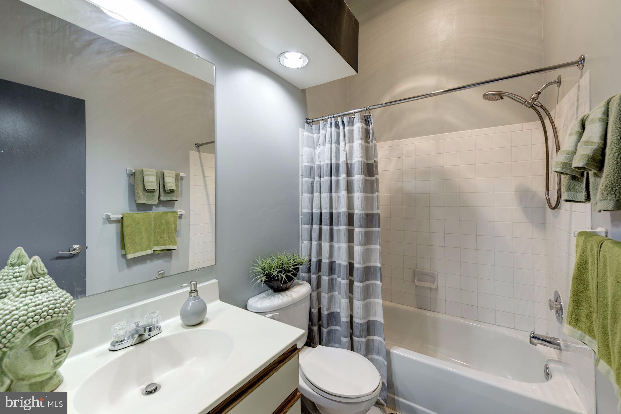 13703 Modrad Way, Unit 33 Silver Spring, MD 20904 - Photo 17 of 29 Hall Bathroom