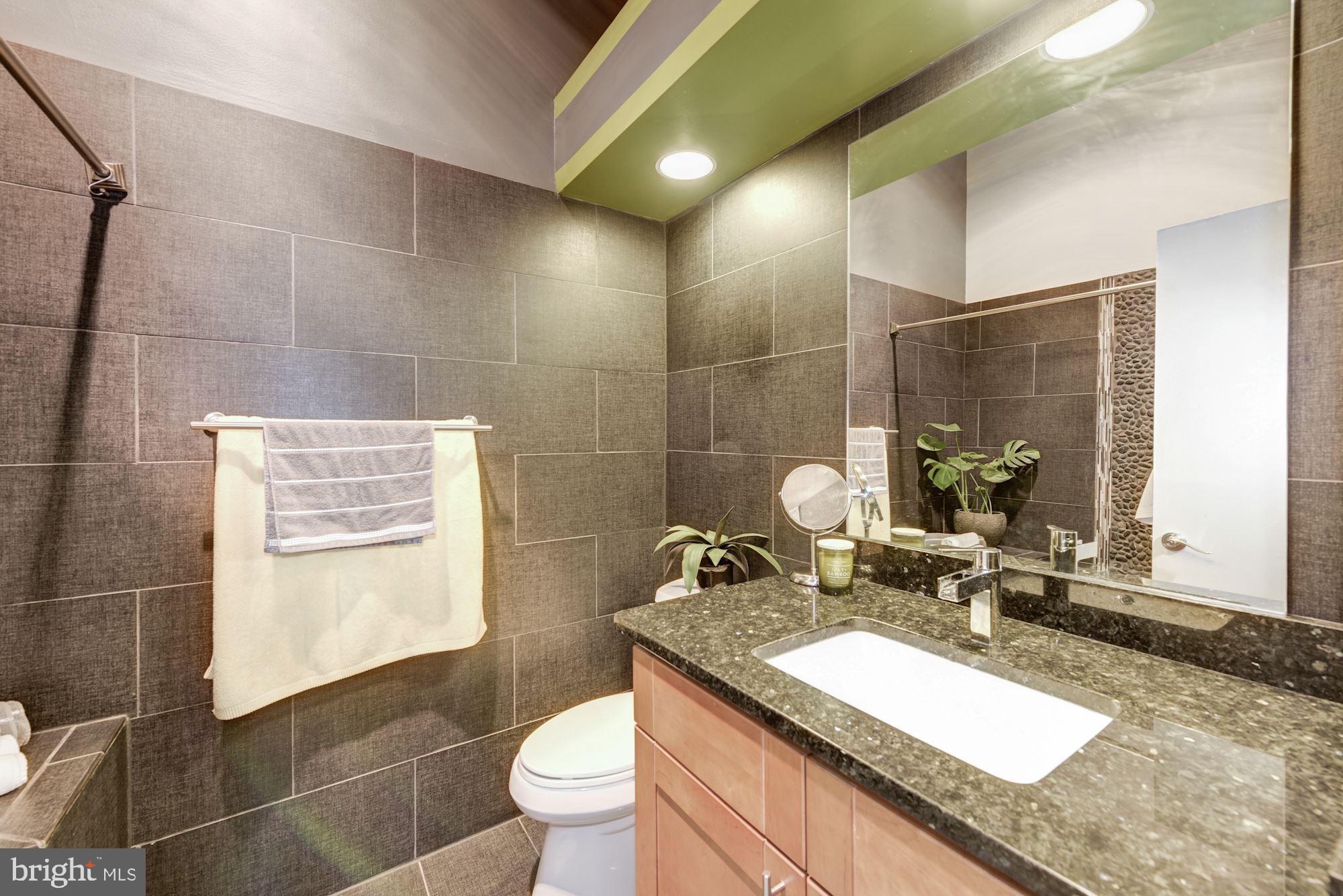 13703 Modrad Way, Unit 33 Silver Spring, MD 20904 - Photo 25 of 29 Master Bathroom