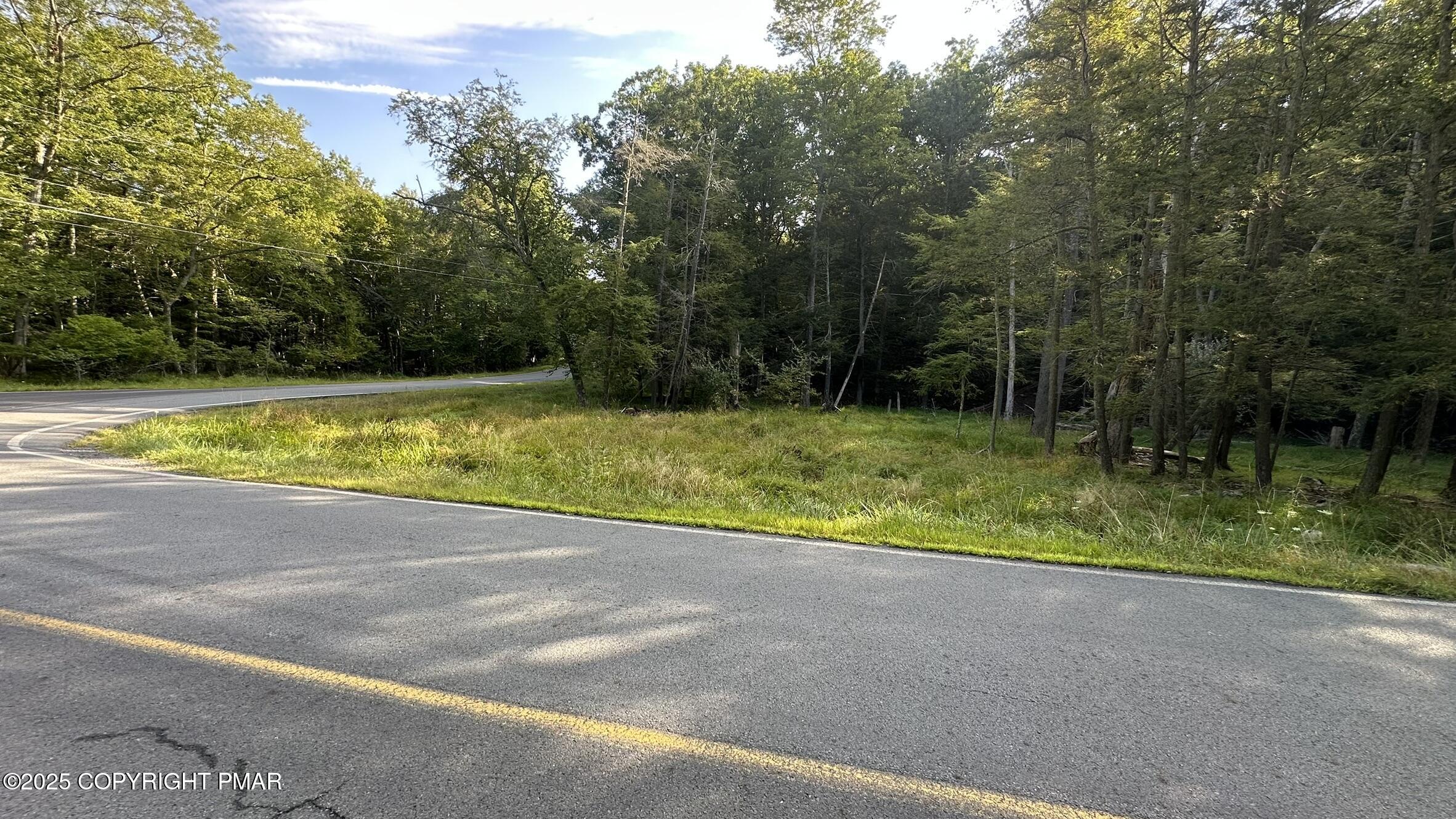 Lot 695 Decker Road Bushkill, PA 18324 - Photo 4 of 55 a view of a yard with a large tree