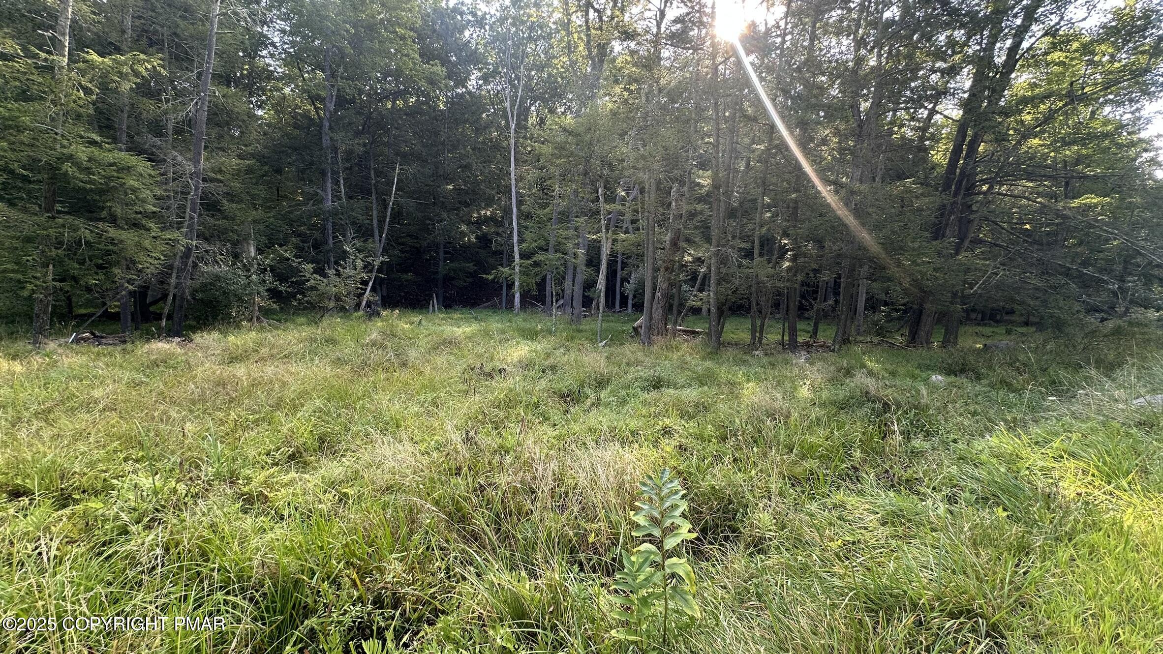 Lot 695 Decker Road Bushkill, PA 18324 - Photo 6 of 55 a backyard of a house with lots of green space