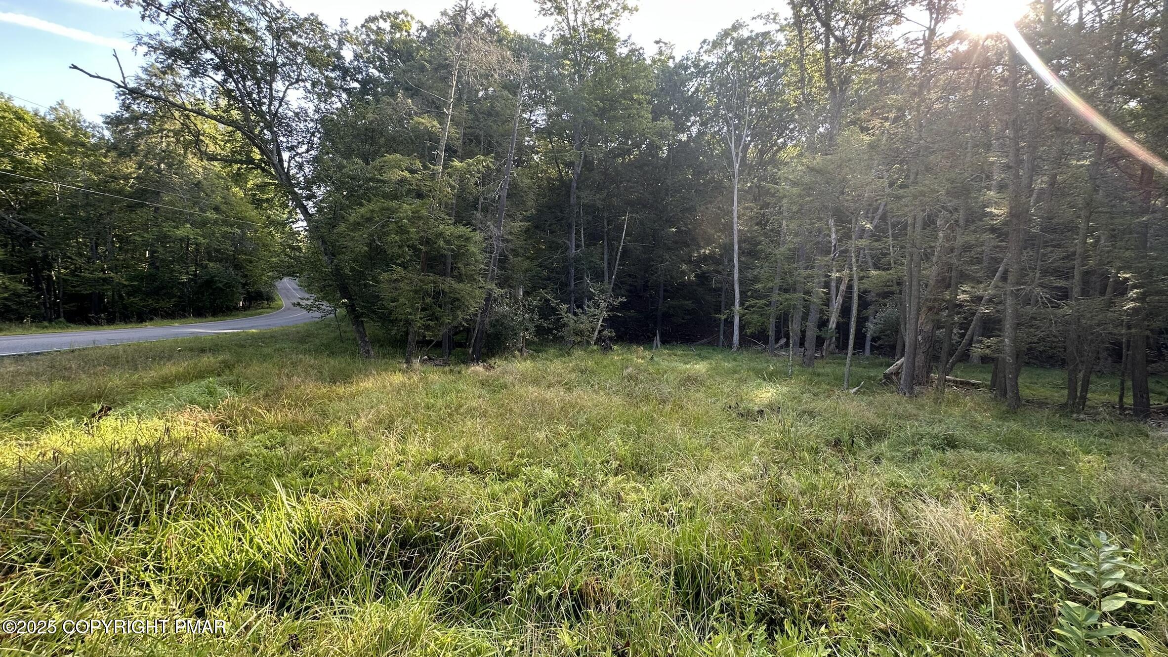 Lot 695 Decker Road Bushkill, PA 18324 - Photo 7 of 55 a view of outdoor space and yard