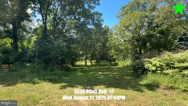 a big yard with lots of green space and plants