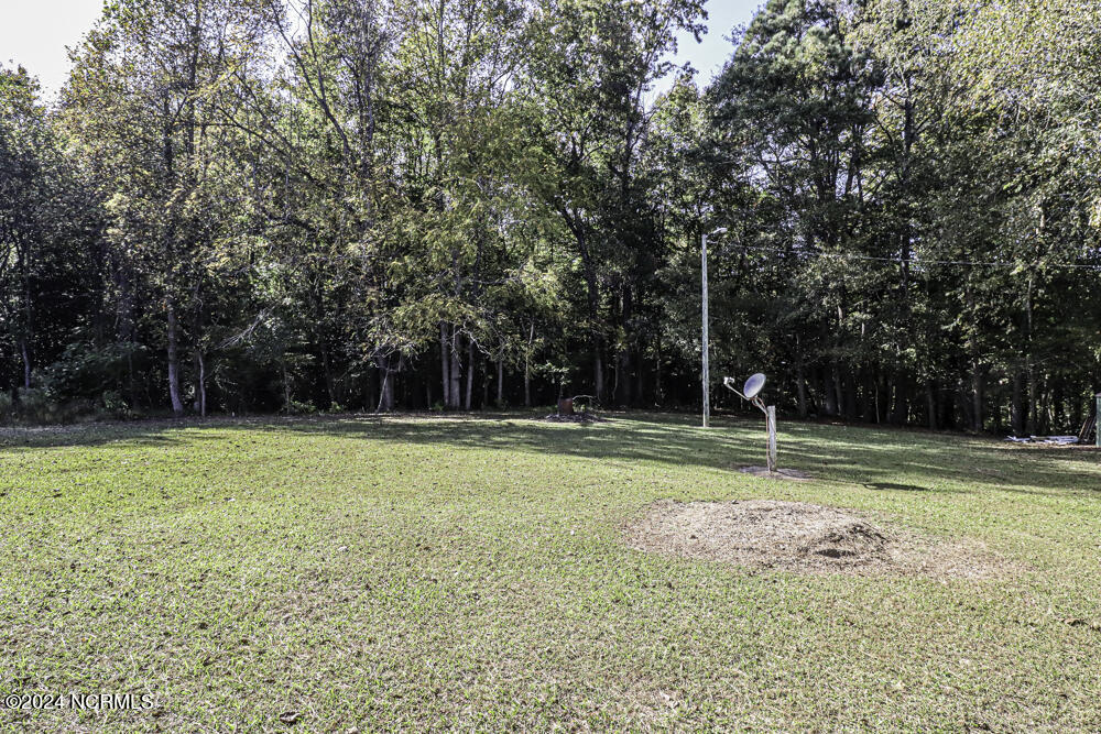 351 Wises Store Road Murfreesboro, NC 27855 - Photo 32 of 32 0004-IMG_8090