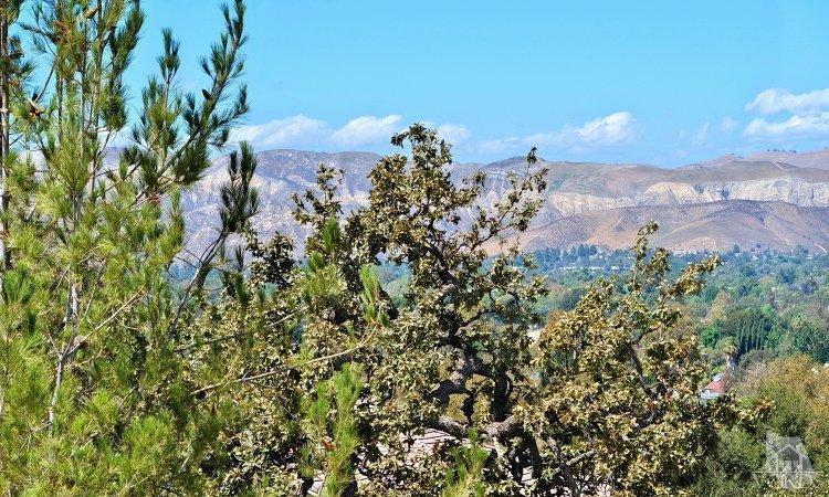 1373 Hidden Ranch Drive Simi Valley, CA 93063 - Photo 32 of 50 a view of a bunch of plants and trees in the background